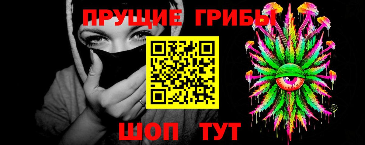 Хасавюрт  Псилоцибиновые грибы Cubensis  Галлюциногенные грибы Cubensis  Вход с VPN 